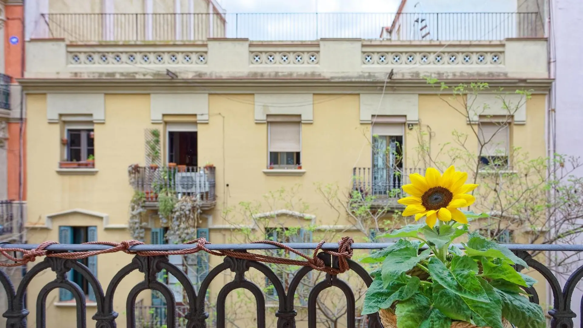 Apartamento Central & Bright Apartment!! Barcelona
